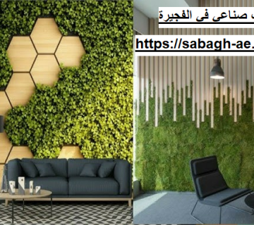 تركيب عشب صناعي في الفجيرة