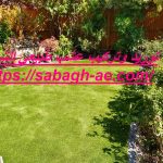 توريد وتركيب عشب طبيعي الشارقة