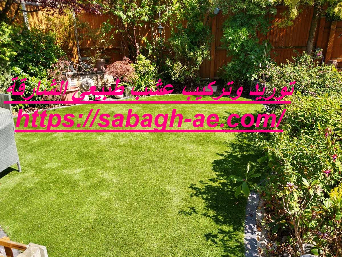 توريد وتركيب عشب طبيعي الشارقة