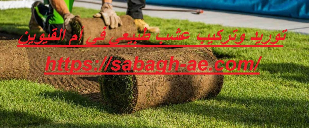 توريد وتركيب عشب طبيعي في أم القيوين