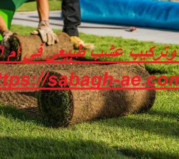 توريد وتركيب عشب طبيعي في أم القيوين