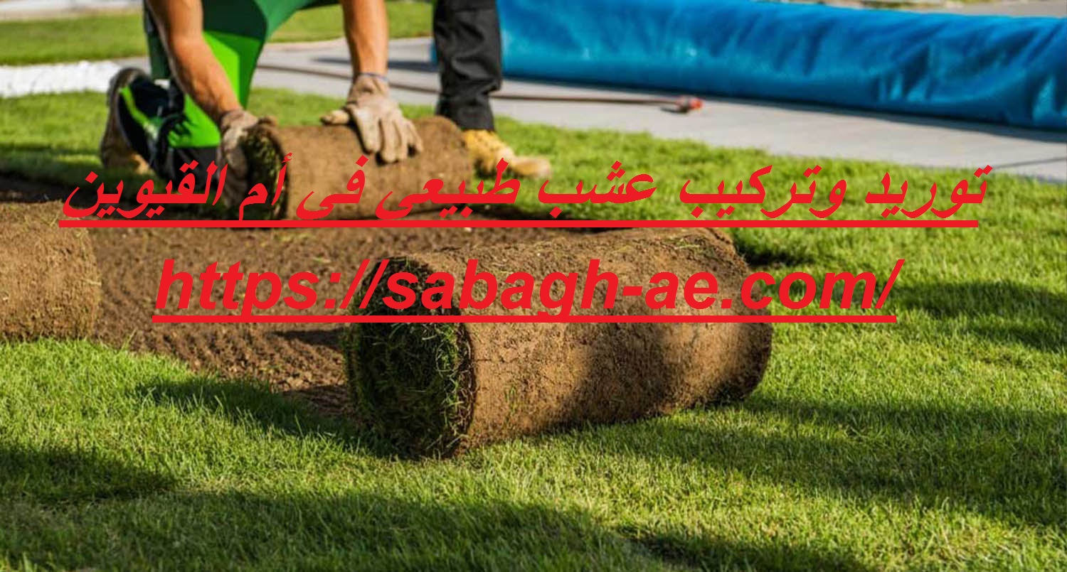 توريد وتركيب عشب طبيعي في أم القيوين