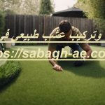 توريد وتركيب عشب طبيعي في العين
