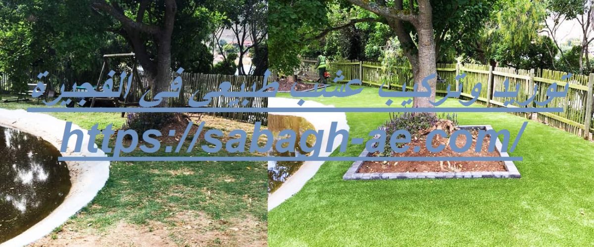 توريد وتركيب عشب طبيعي في الفجيرة