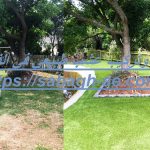 توريد وتركيب عشب طبيعي في الفجيرة