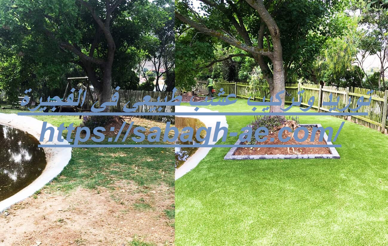 توريد وتركيب عشب طبيعي في الفجيرة