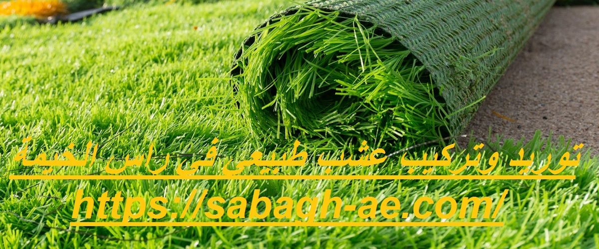 توريد وتركيب عشب طبيعي في راس الخيمة