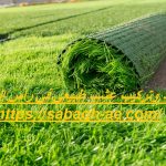 توريد وتركيب عشب طبيعي في راس الخيمة