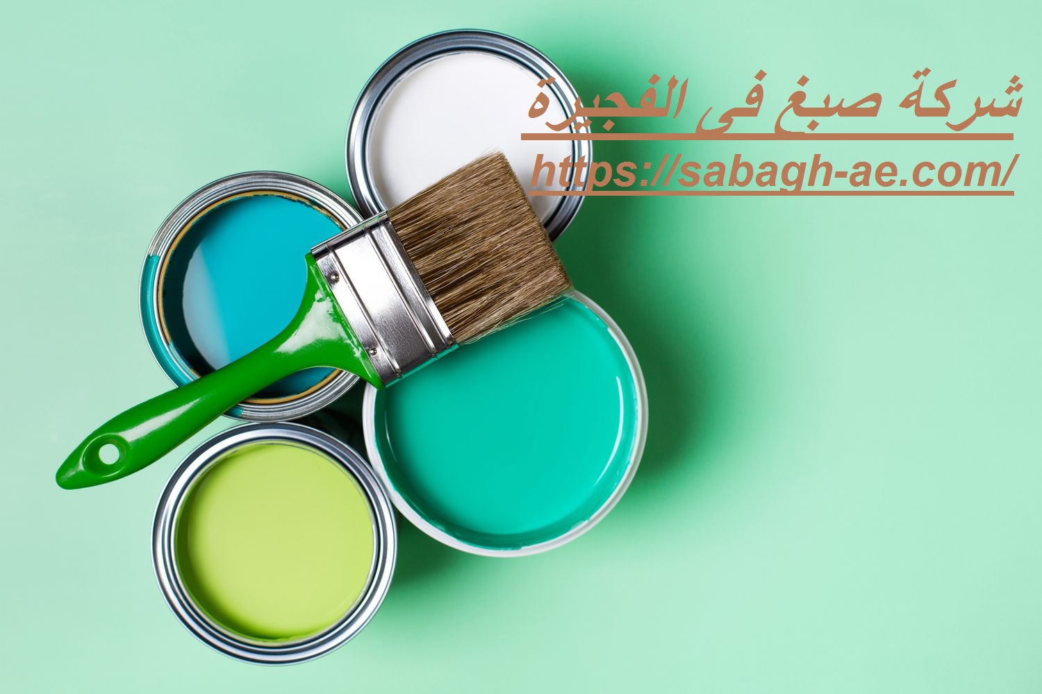 شركة صبغ فى الفجيرة