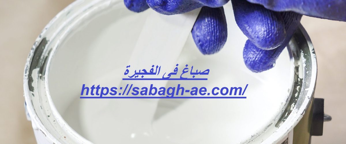 صباغ فى الفجيرة