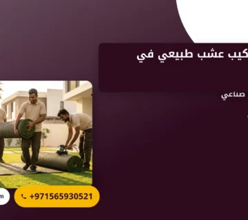 صورة توريد وتركيب عشب طبيعي في أبوظبي: لمسة خضراء لمحيطك الخارجي