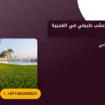 صورة توريد وتركيب عشب طبيعي في الفجيرة |0565930521