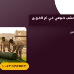 صورة توريد وتركيب عشب طبيعي في أم القيوين |0565930521