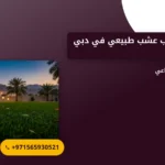 صورة توريد وتركيب عشب طبيعي في دبي |0565930521